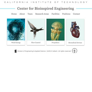 Center for Bioinspired Engineering