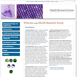 Gharib Research Group